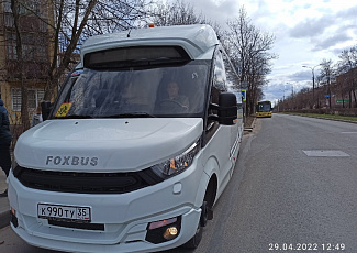 Foxbus (30+1 Гид)